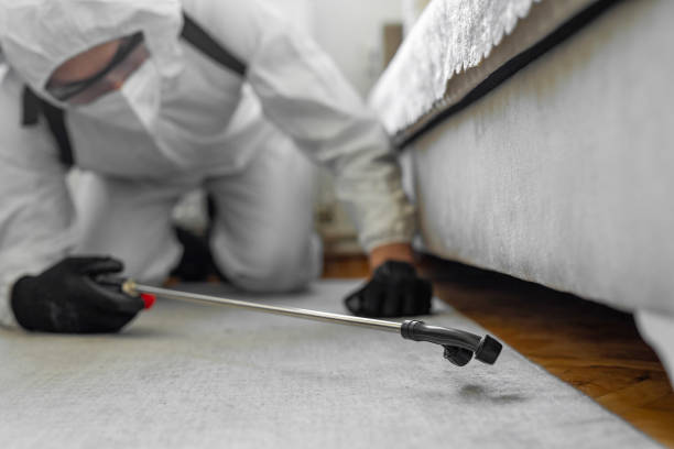 Professional Termite Control technician working in Bardstown, KY