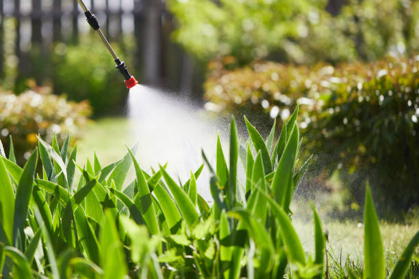 24/7 Emergency Termite Control experts in Bardstown, KY