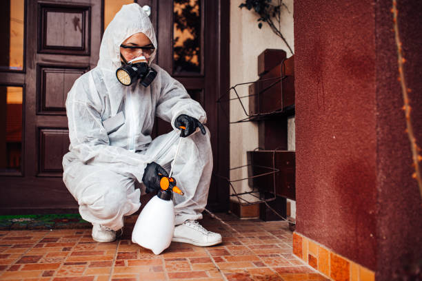 Reliable Termite Control contractor in Bardstown, KY by Nex Pest Control