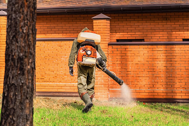 Top rated local Termite Control specialists in Bardstown, KY
